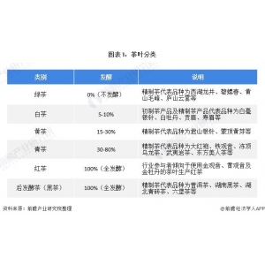 20南宫NG·28全站21年中国茶叶栽种